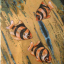 Gaston SUISSE (1896-1988) - Poissons Sumatras.